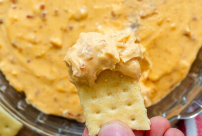 Thumbnail for Red Lantern Cheese Dip